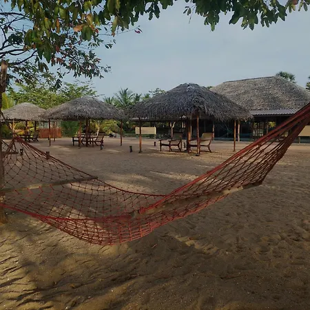 The Cove Pasikuda - Eco Retreat-3