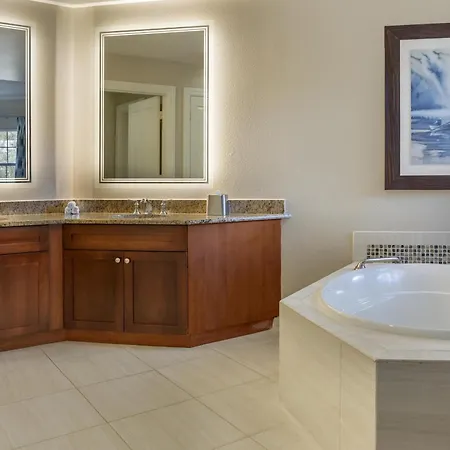 Hilton Grand Vacations Club Seaworld Orlando-3
