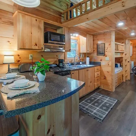 Thomas Cabin Forest Tiny Cabin With Hot Tub-3