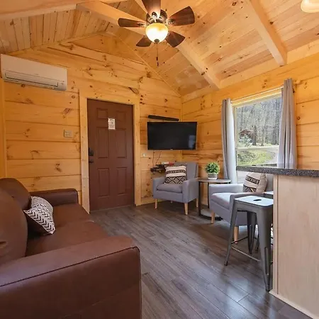 Jake Cabin Luxury Hot Tub Cabin Near Downtown-3