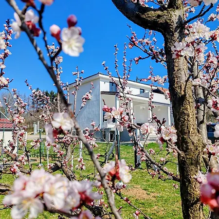 Villa Kally Fruska Gora-2