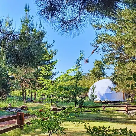 Glamp Refugio Silvestre 7 Tazas-3