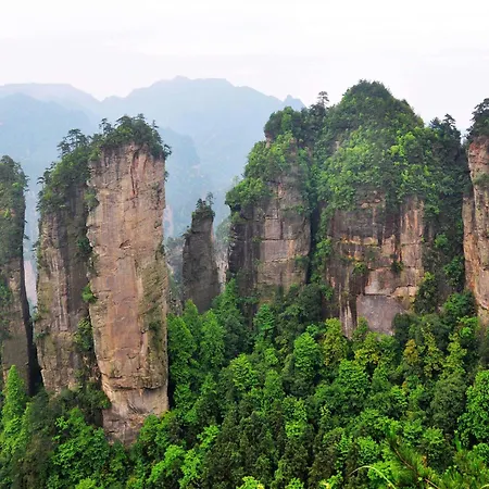 Zhangjiajie Forest Oxygen Bar Resort Hotel - New Hotel In 2026 Large& Buffet Breakfast&Gym&Near East Gate &Free Laundry Service & Mini Bar &Coffee And Travel Guide Explanation Of Tour Plan Reserve English Butler-3