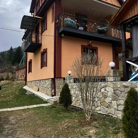 Zagadka Gir-3