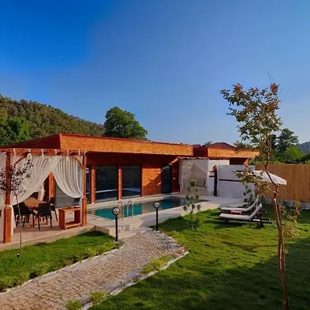 Detached Villa With Private Pool In Goecek Inlice-2