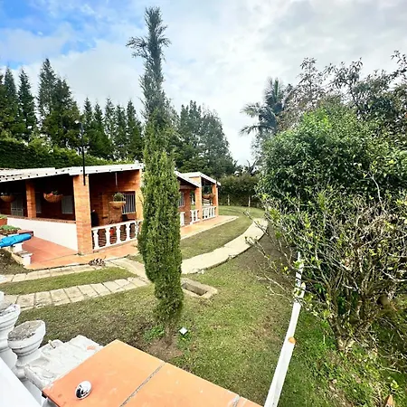 Country House With A Jacuzzi For 10, A Cinema, And 10 Minutes From The Airport - Finca Gabriela-3