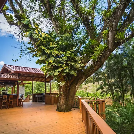 Finca Rica Lodge-3