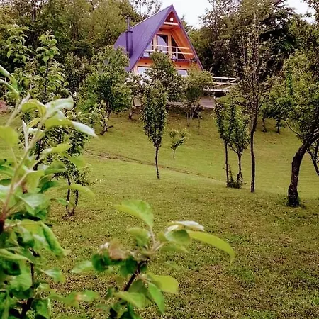 Villa Alfa Sharr-3
