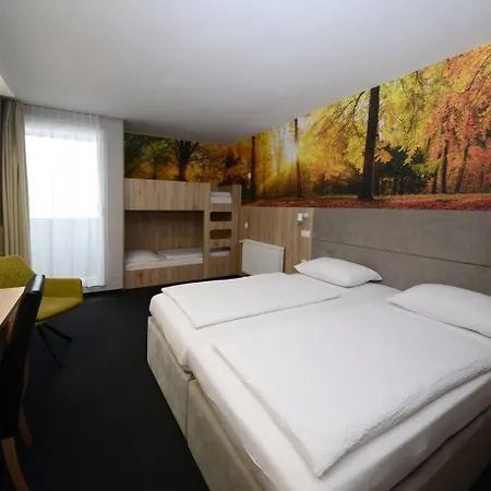 Hotel Alpina-3