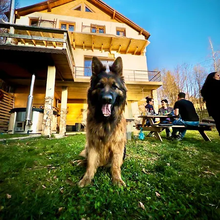 Chalet Nomad-2