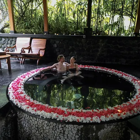 Nandini Jungle by Hanging Gardens-3