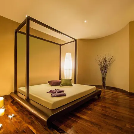 Melia Desert Palm Member Of Melia Collection-3