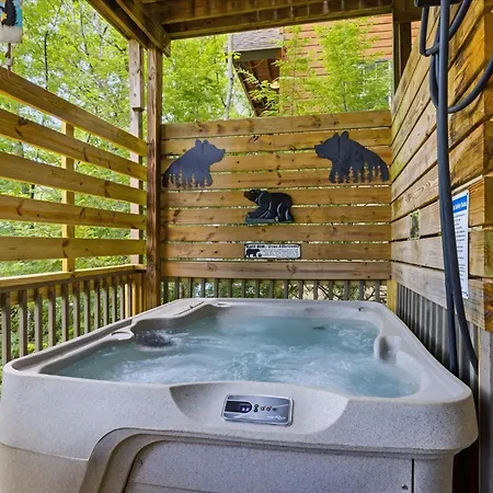 Bear Valley Cabin By Beyond Expectations W Hot Tub-3