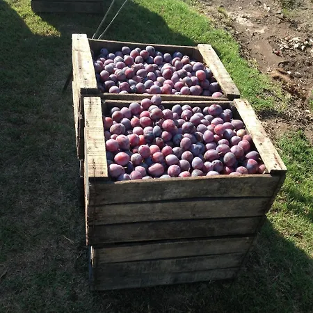 Establecimiento Rural El Chanar-3