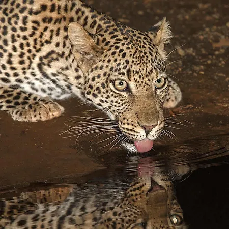 Etali Safari Lodge-2