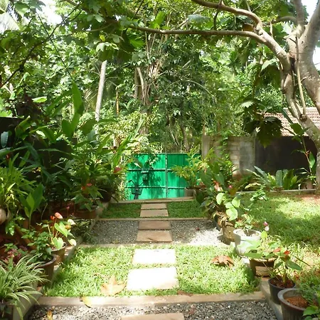 R&N Yellow House-3