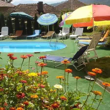 Guest House Camellia-2