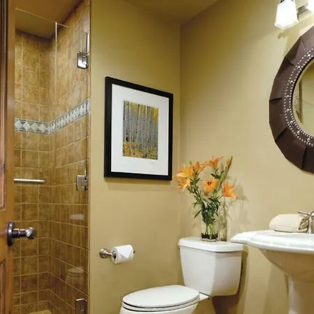 Innsbruck Aspen Deluxe One-Bedroom Garden Residence 2, Located On Main Street-2