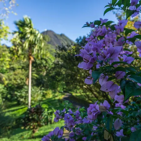 Arenal Observatory Lodge & Trails-2