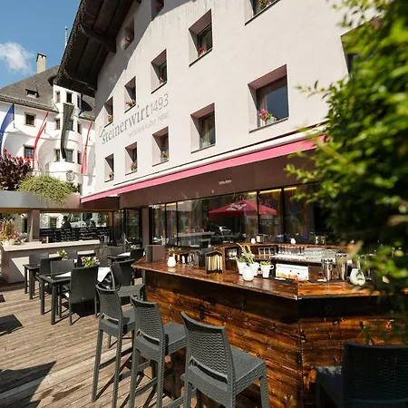 Hotel Steinerwirt1493-3