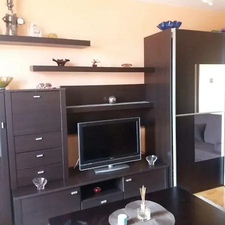 Apartament Alin-3