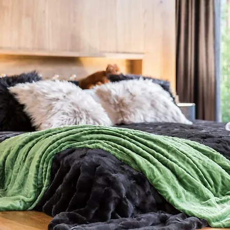 Nowy Komfortowy Apartament & Spa Grizzly De Lux-2