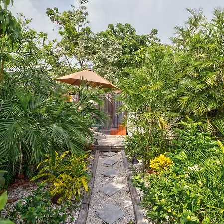 Tradewinds-3