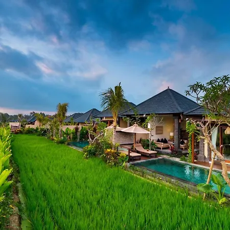 Bliss Ubud Spa Resort-2