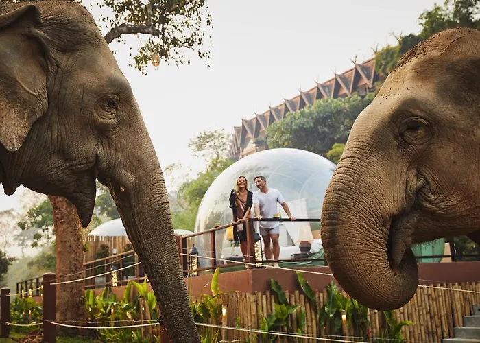 Anantara Golden Triangle Elephant Camp & Resort Chiang Rai