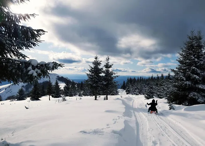 Jopa Suncani Breg Kopaonik