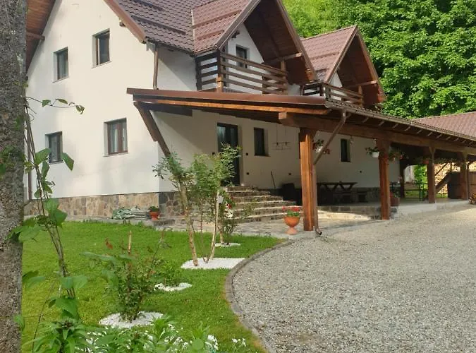 Pensiunea Cheile Repezii Borşa