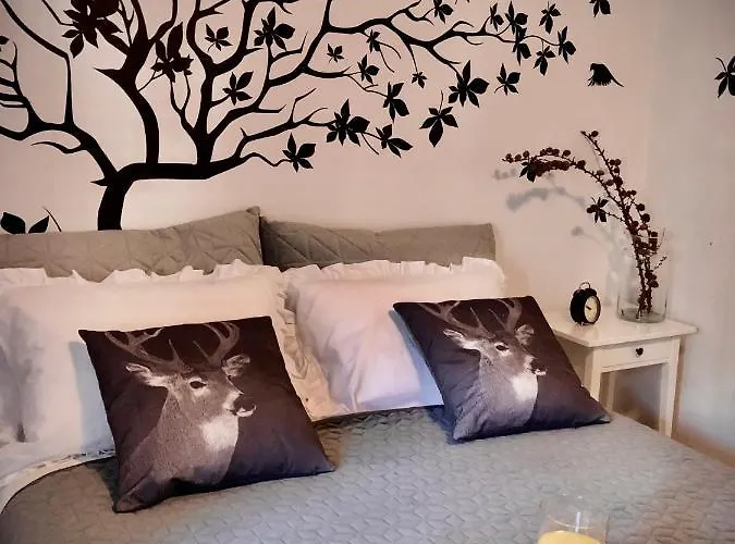 Jodla I Modrzew Apartament Przy Parku I Termach W Centrum Uzdrowiska Jelenia Góra
