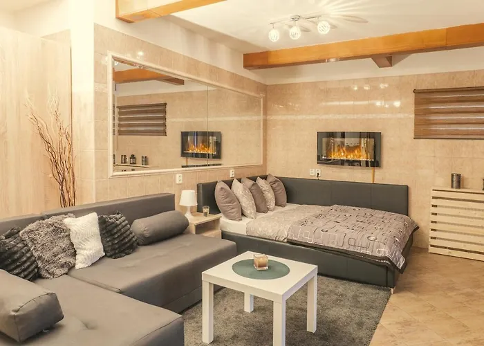 Wellness Studio! Finnish Sauna, Whirlpool, Gym & More! Prag