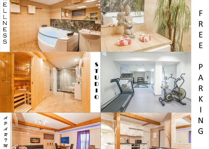Wellness Studio! Finnish Sauna, Whirlpool, Gym & More! Prag