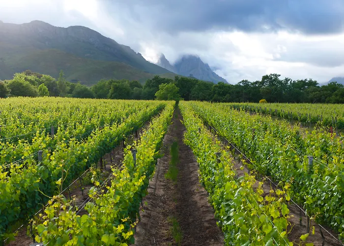 Lanzerac Hotel&Spa Stellenbosch