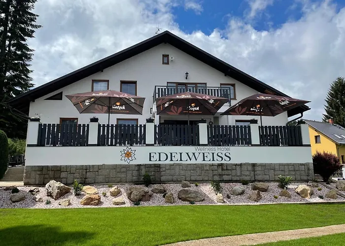Wellness Hotel Edelweiss Reichenberg