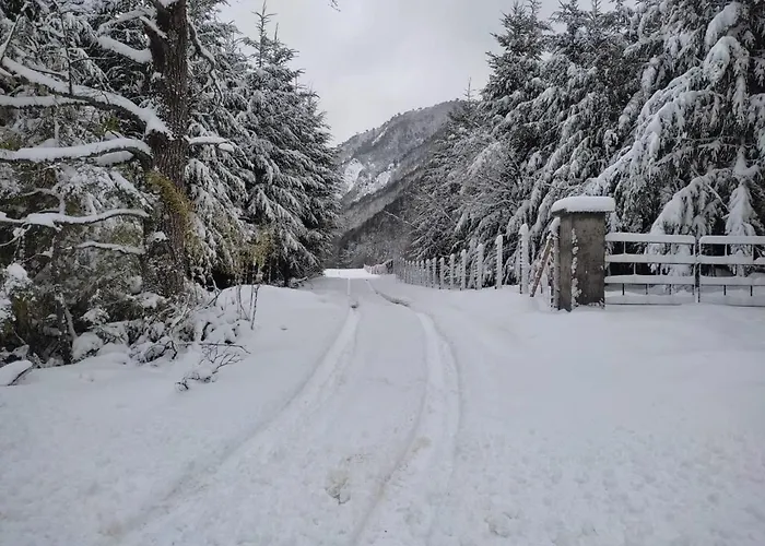 Ferienwohnung Snowko Malalcahuello