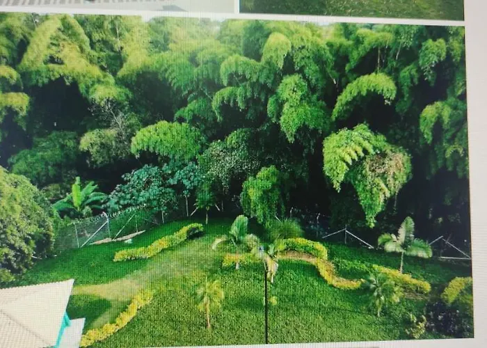 Apartamento De Verano Cerca Al Parque Del Cafe El Edén