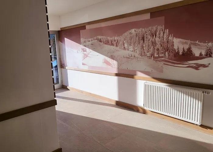 Apartment U245 In Aparthotel Vucko - Private Host Jahorina
