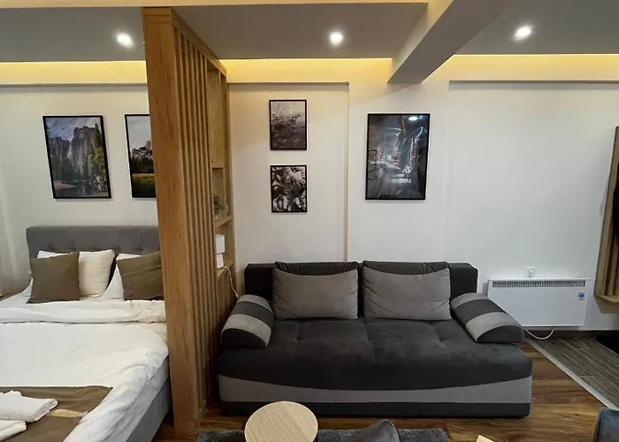 President Kop - Silver Ice Apartment Kopaonik