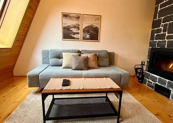 Apartment 533 In Aparthotel Vucko Jahorina - Private Host
