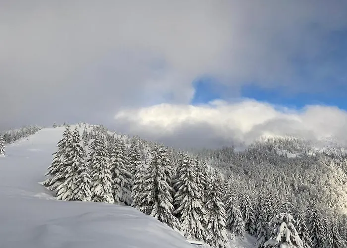 Suncani Breg Apartman 10 Kopaonik