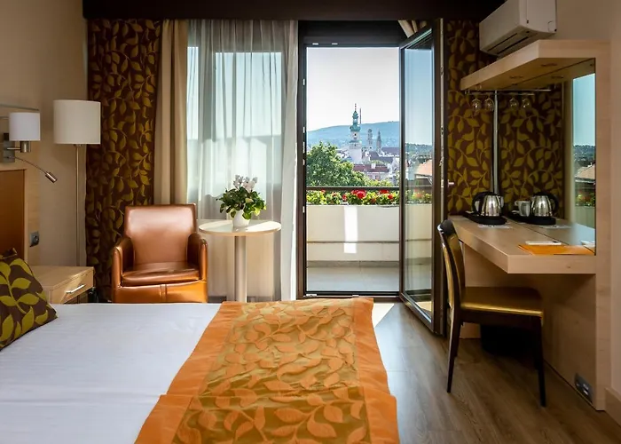 Hotel Ödenburg
