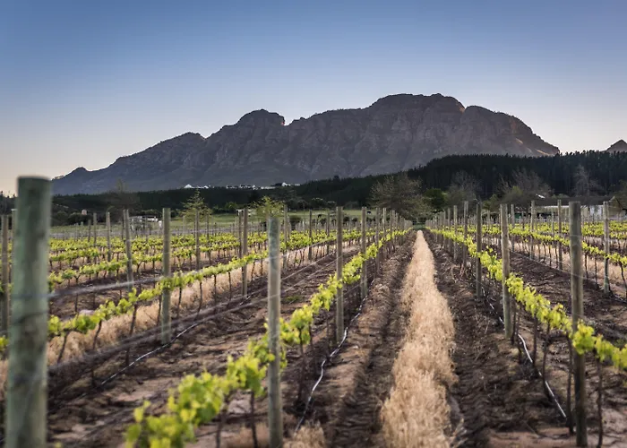 Lanzerac Hotel&Spa Stellenbosch
