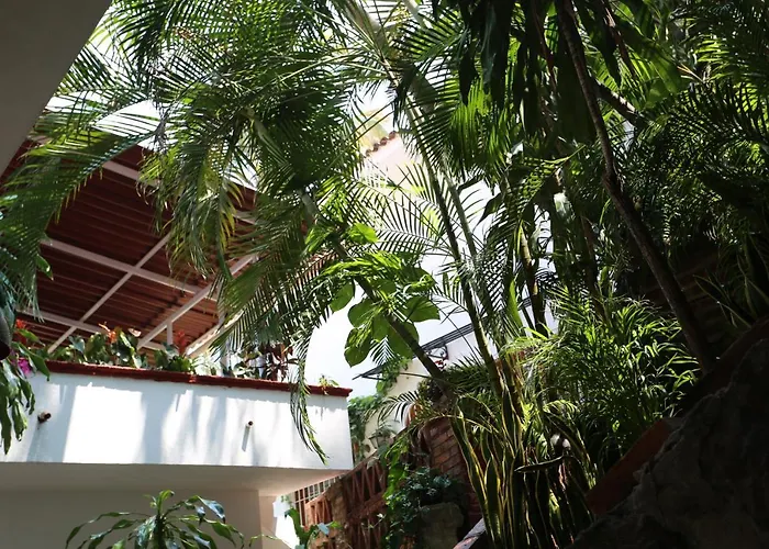 La Villa Del Sol - Pool & Spa And Staff Puerto Vallarta
