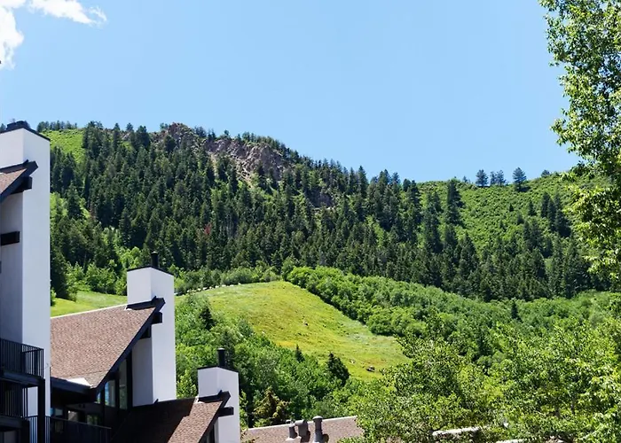 Durant Unit C12, Condo With 2 Fireplaces, Access To Pool & Hot Tub Aspen