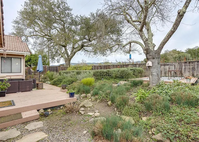 Napa Valley Getaway W/ Backyard Vineyard Views!