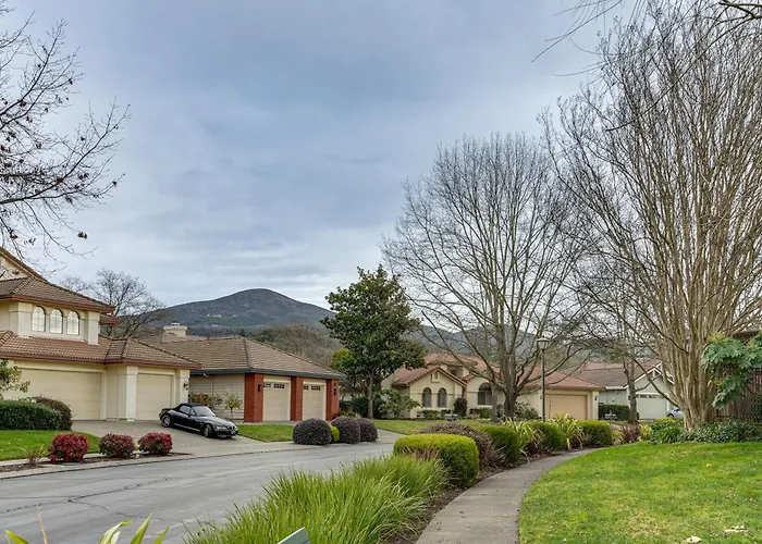 Napa Valley Getaway W/ Backyard Vineyard Views!