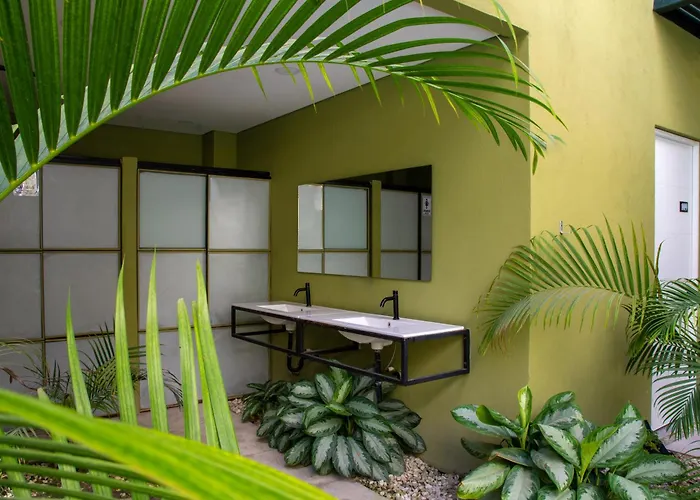Oasis Tropical Hotel Santa Marta 