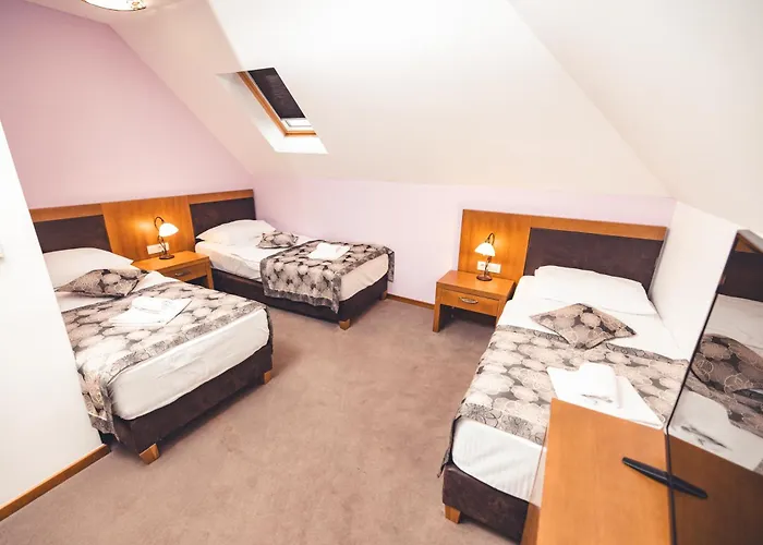 Etno Selo Stanisici Hotel Leonida Dijelovi